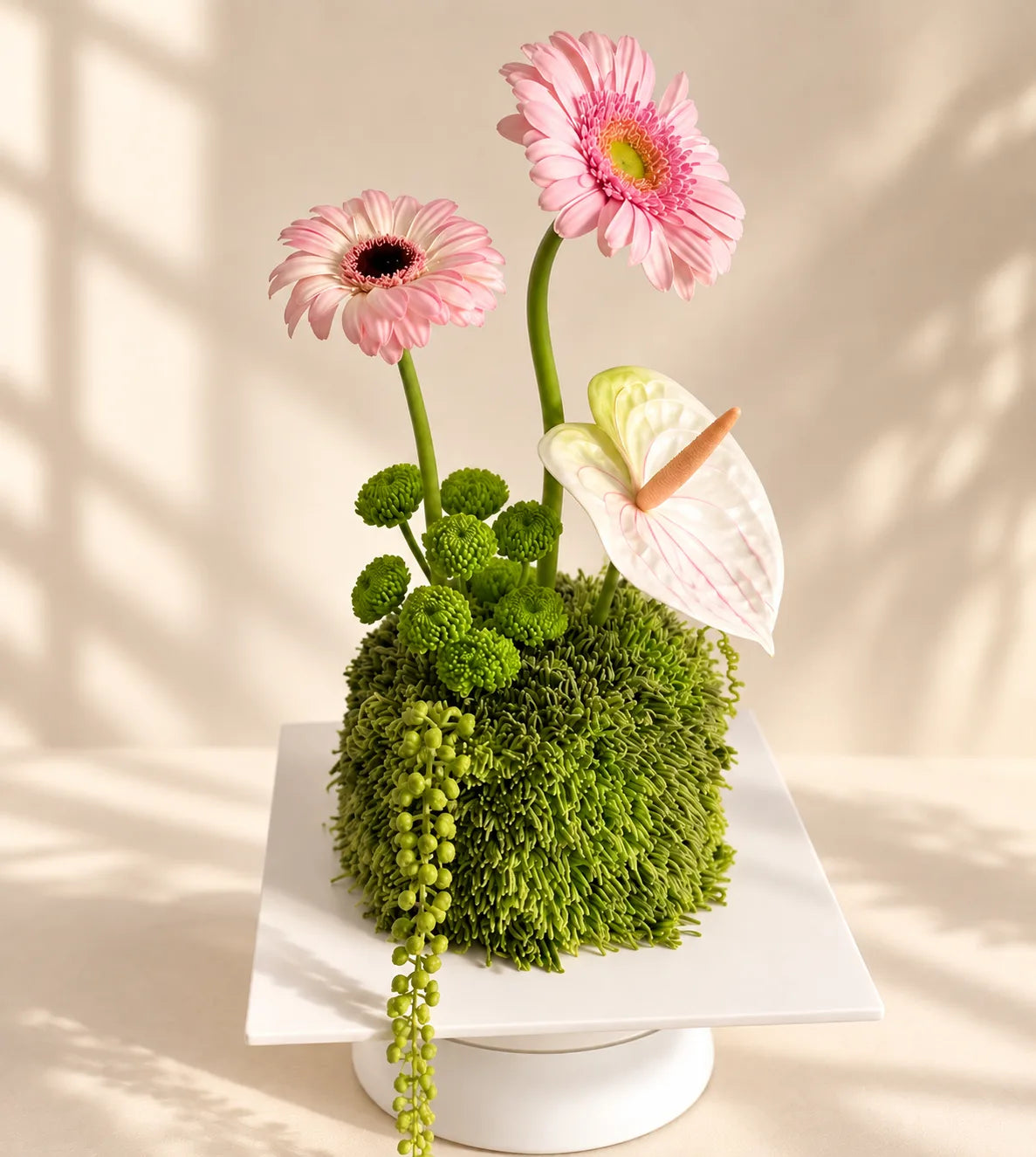 Blumen, die jede Woche neu stehen